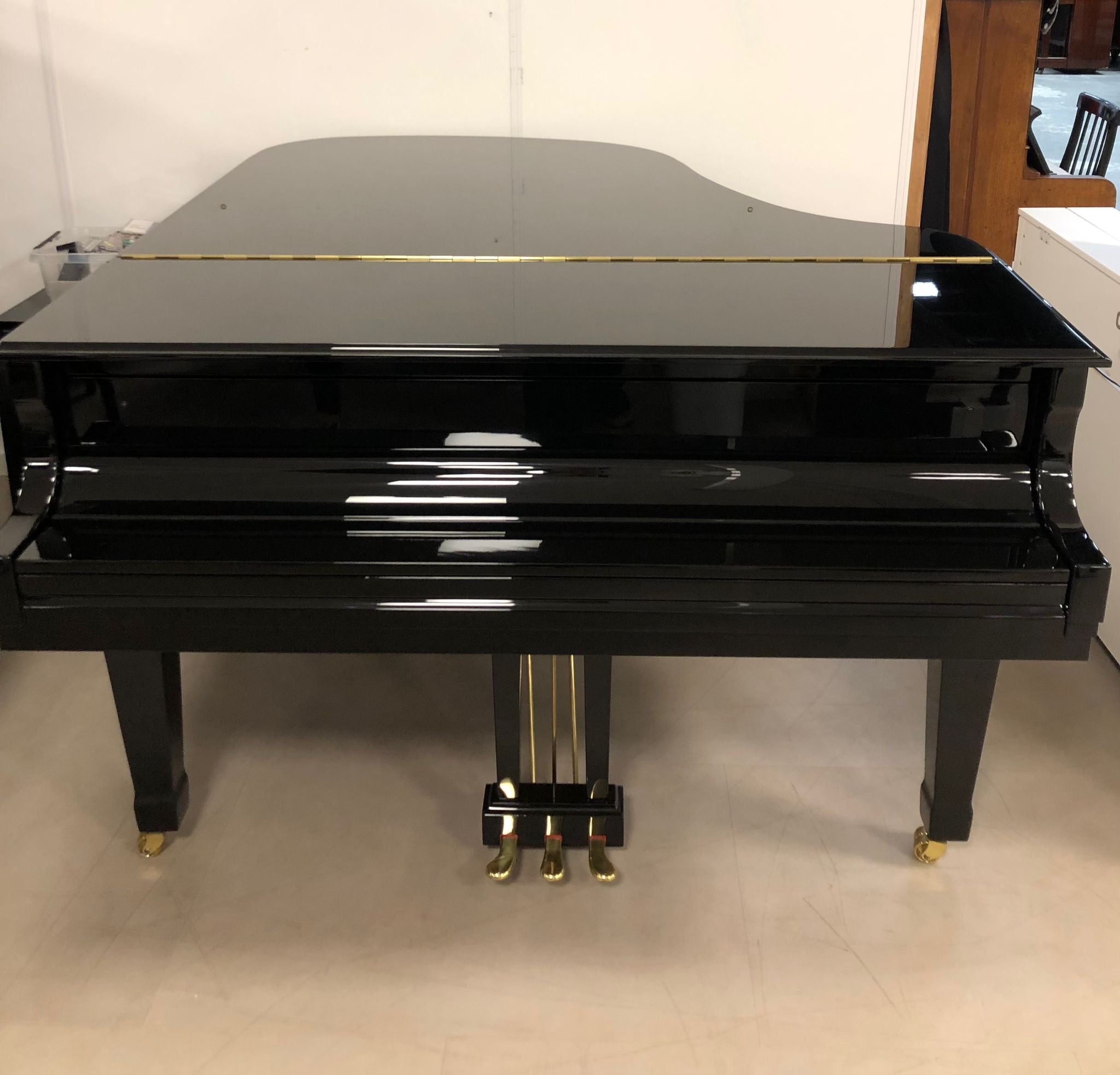 Essex EGP173 met zelfspeelsysteem PianoDisc