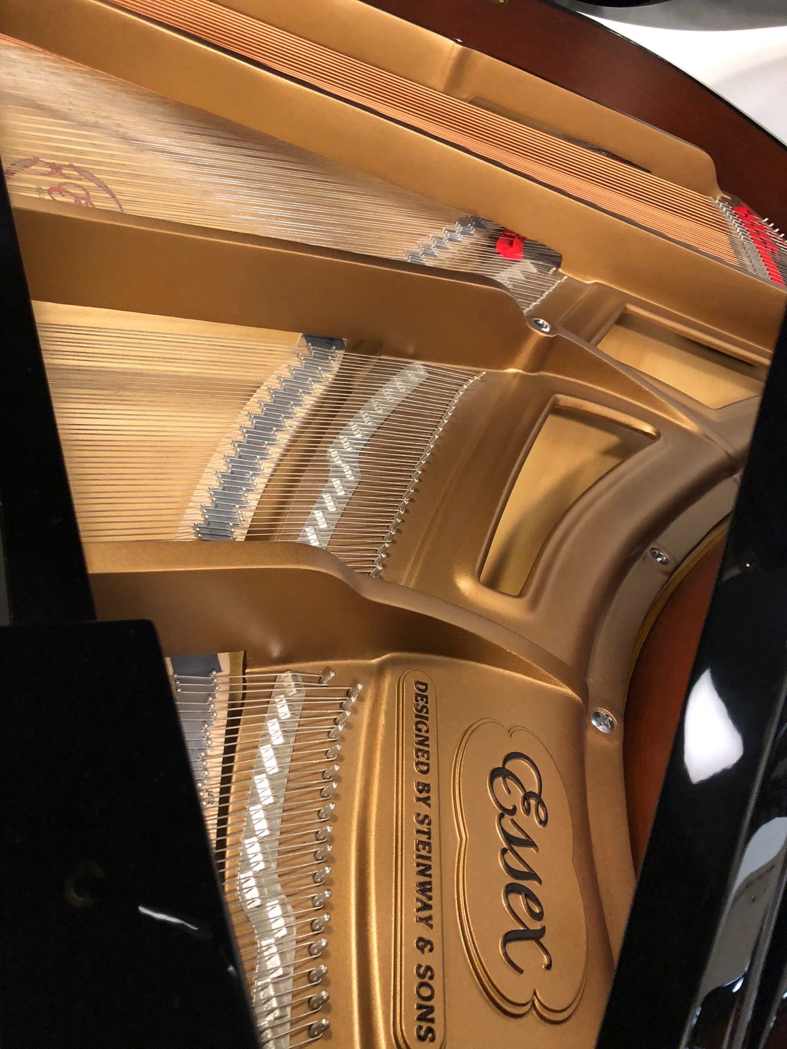 Essex EGP173 met zelfspeelsysteem PianoDisc