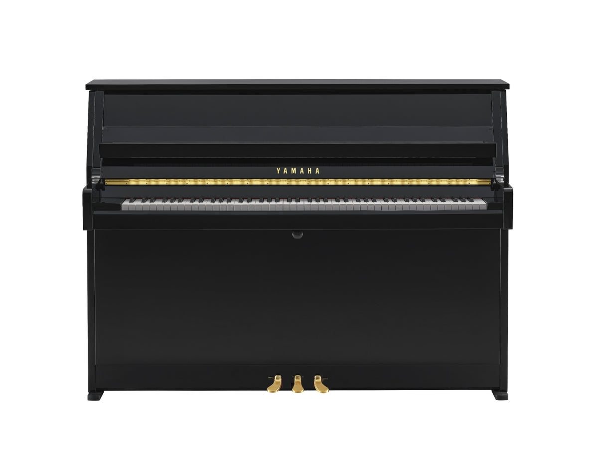 Yamaha B10 PE