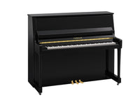 Yamaha B30 PE