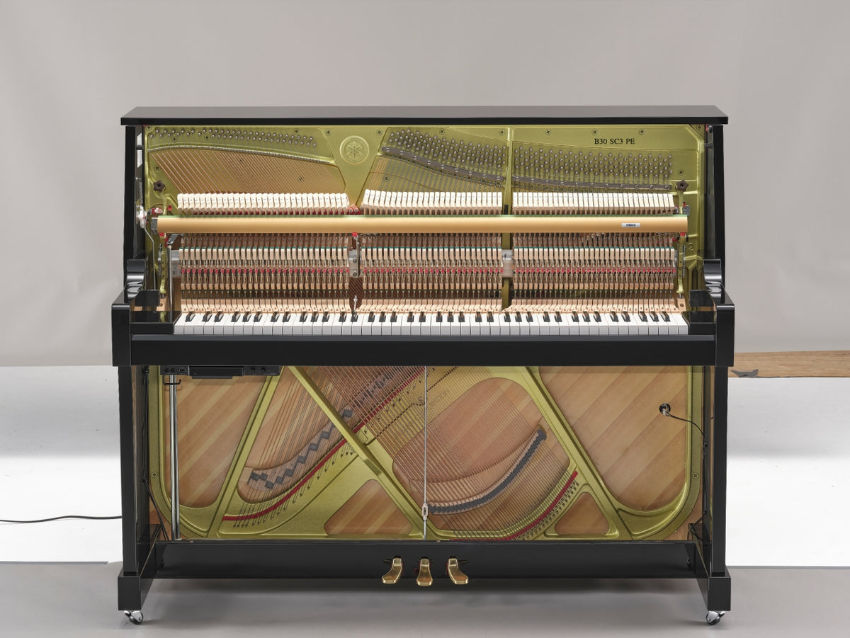 Yamaha B30 PE