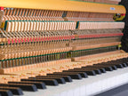 Yamaha B30 PE