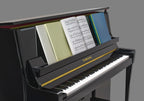 Yamaha B30 PE