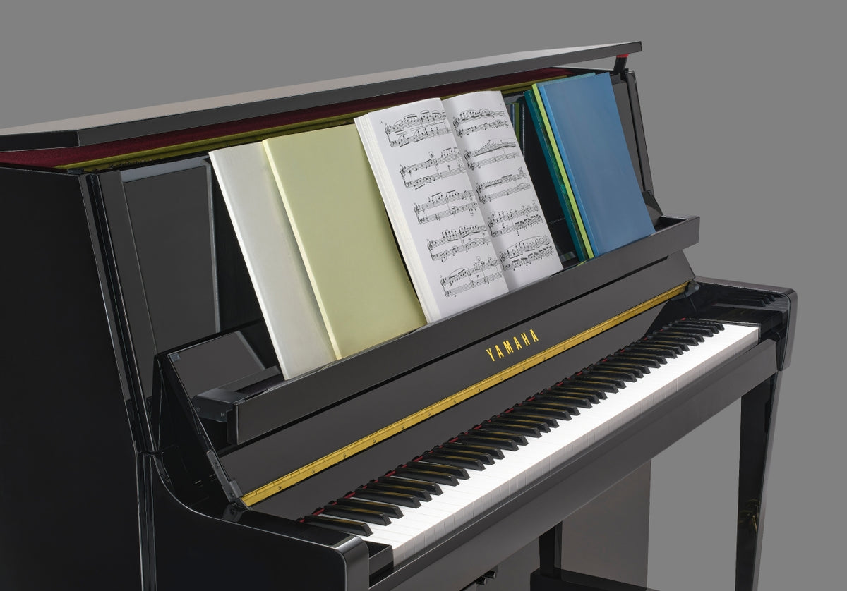 Yamaha B30 PE