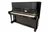 C. Bechstein Concert 8