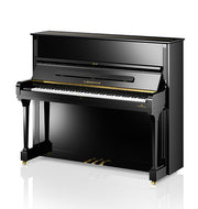 C. Bechstein Concert C 6