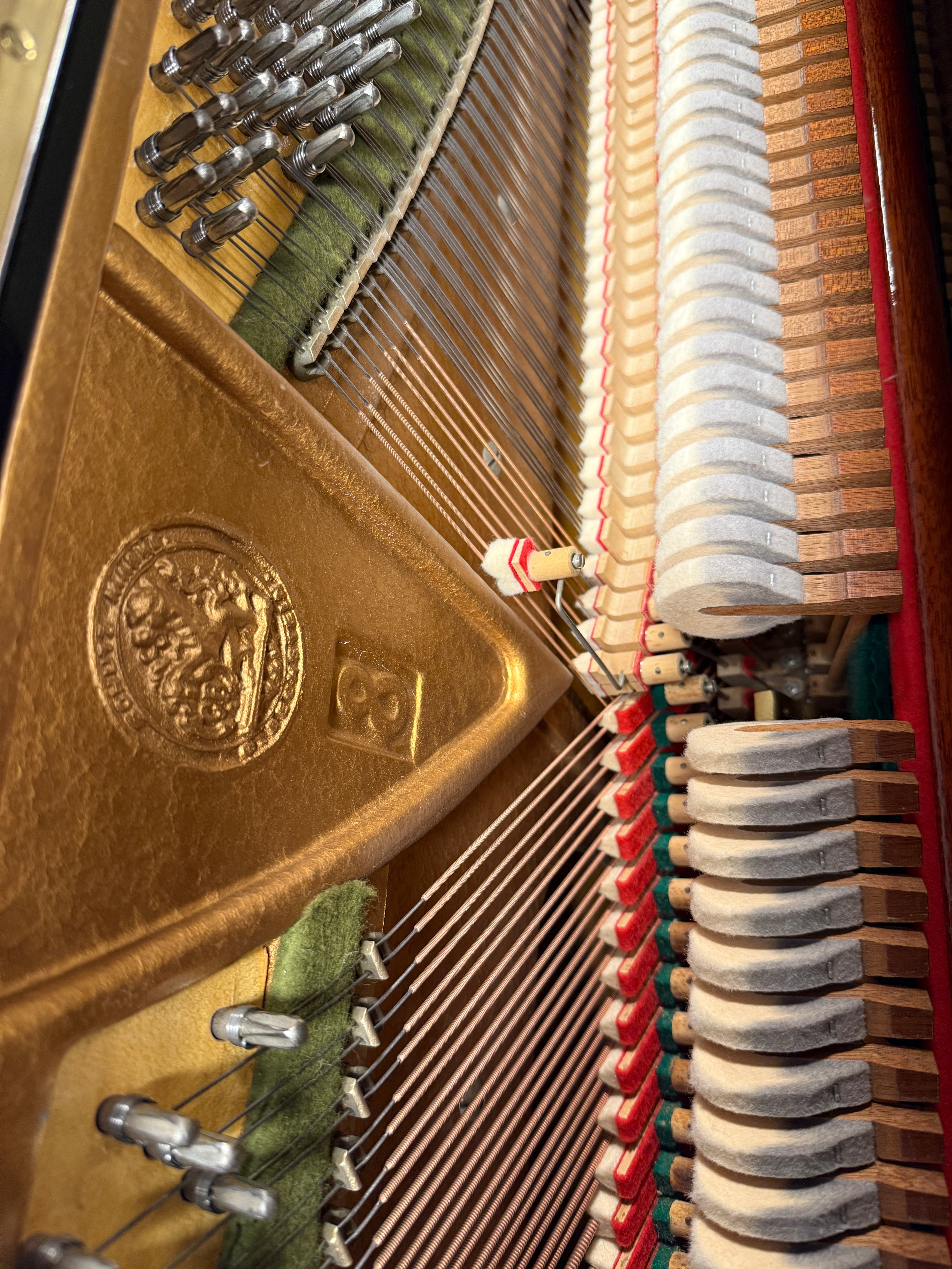 C. Bechstein Concert 8