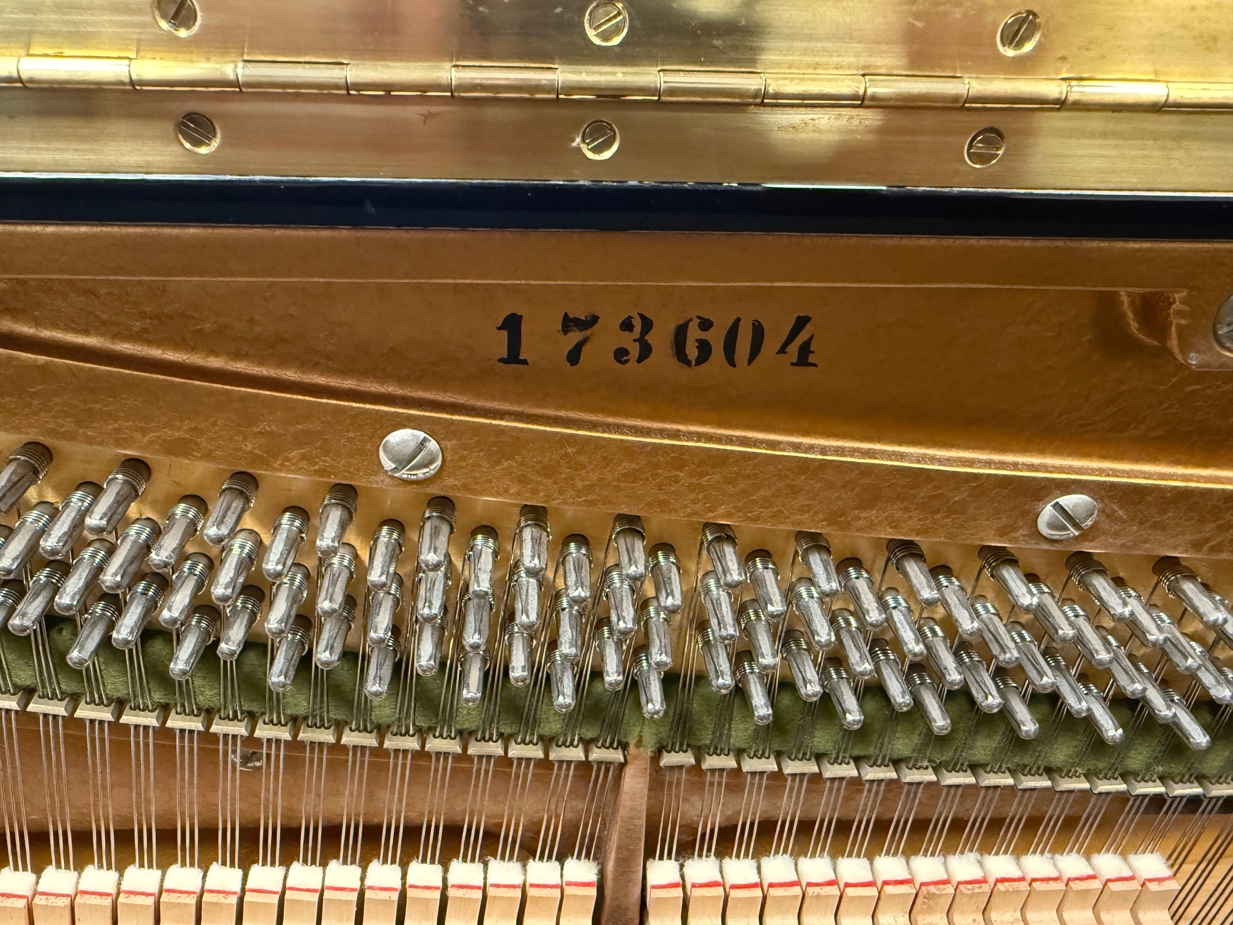 C. Bechstein Concert 8