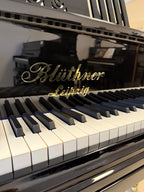 Blüthner 190 – Suprême Edition Vleugel