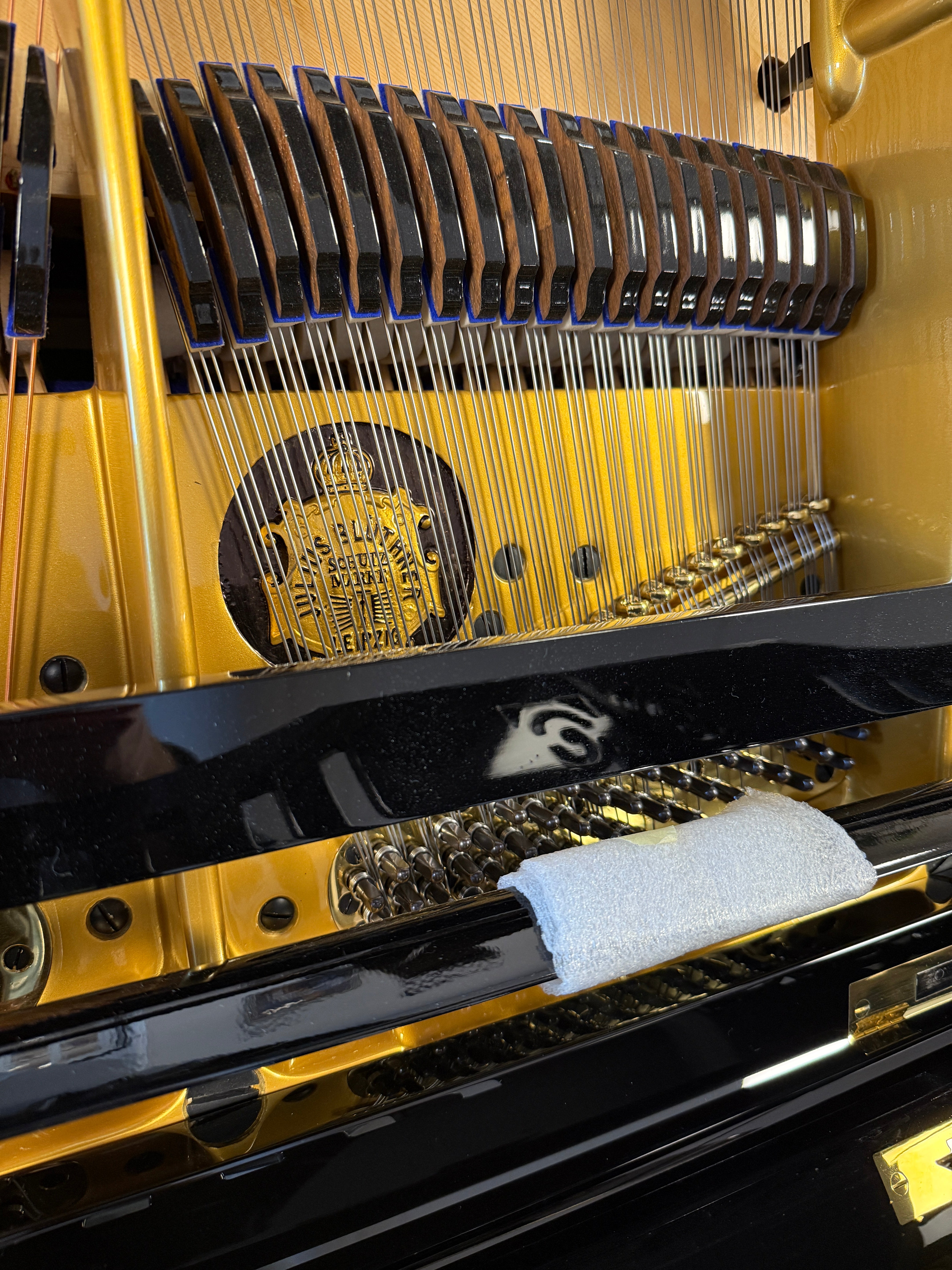 Blüthner 190 – Suprême Edition Vleugel