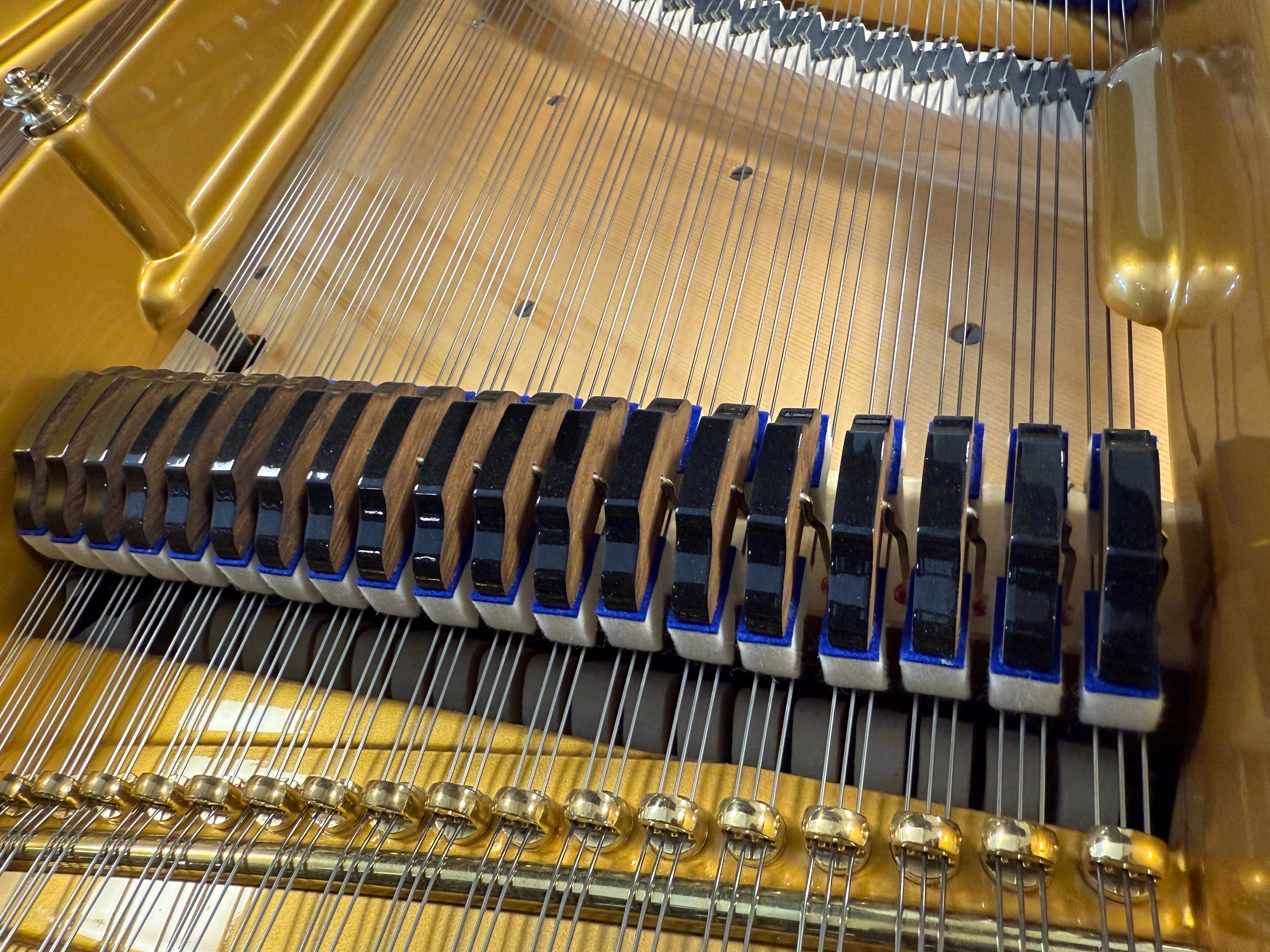 Blüthner 190 – Suprême Edition Vleugel