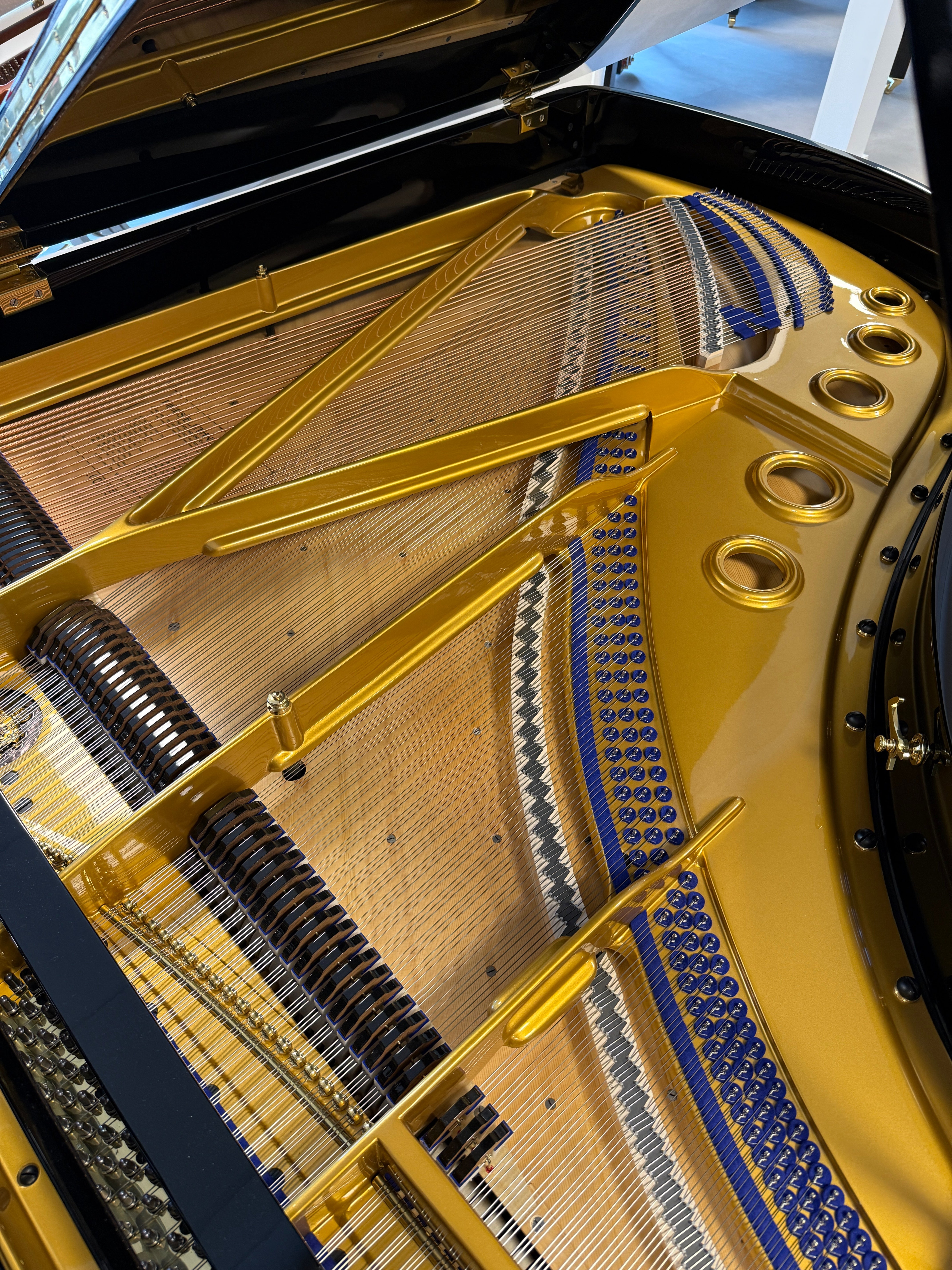 Blüthner 190 – Suprême Edition Vleugel