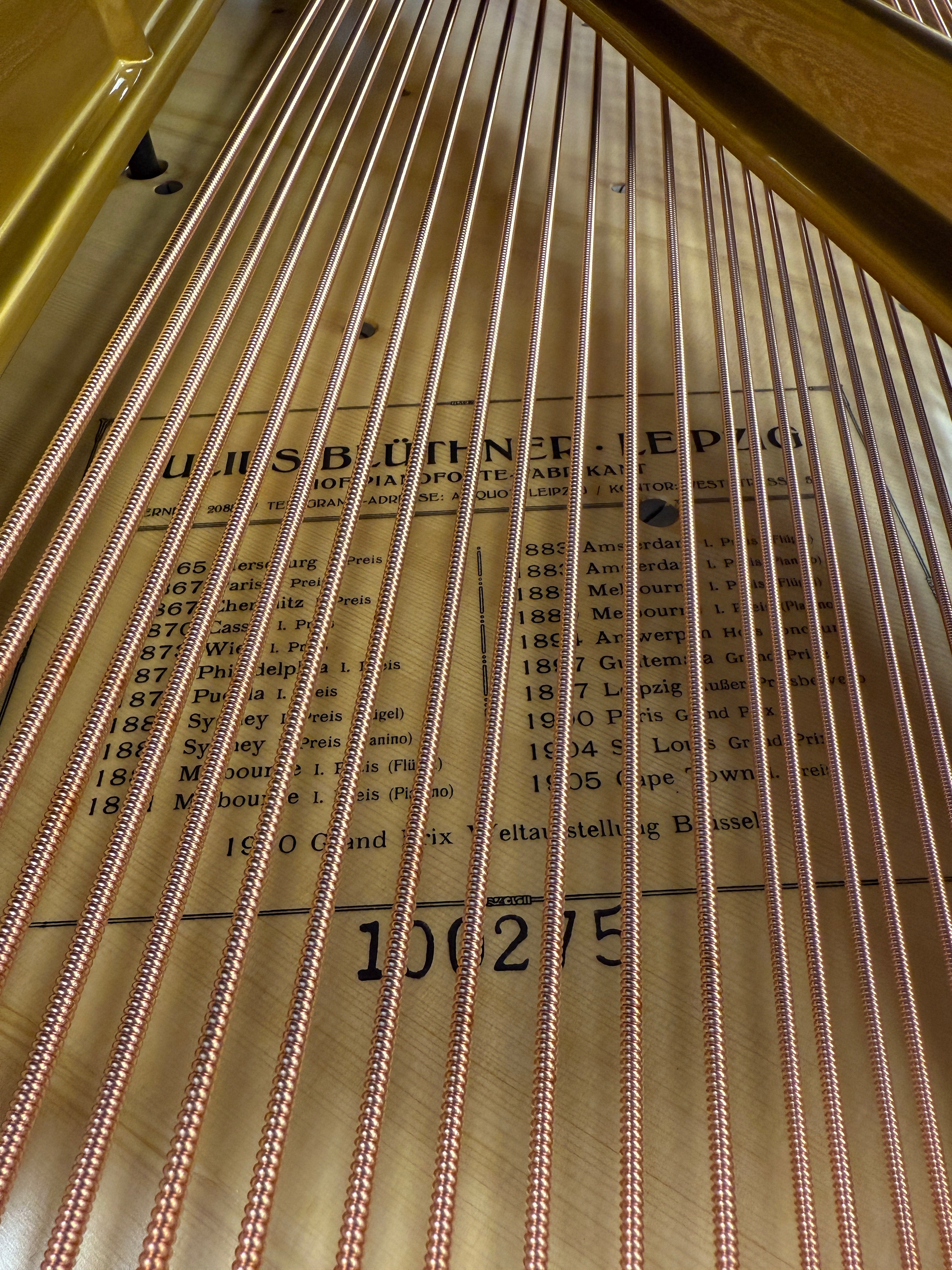 Blüthner 190 – Suprême Edition Vleugel