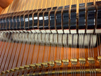 Bösendorfer 170 Johann Strauss – volledig gerestaureerde vleugel