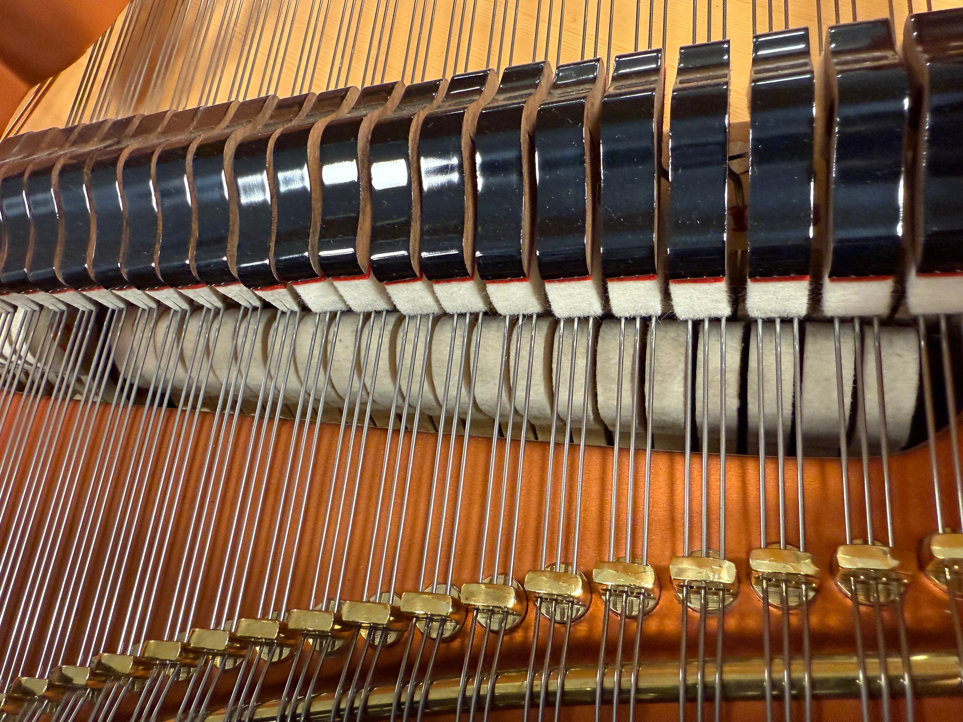Bösendorfer 170 Johann Strauss – volledig gerestaureerde vleugel