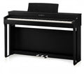 Kawai CN 201