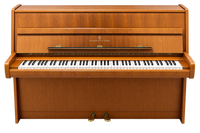 Steinway Z noten