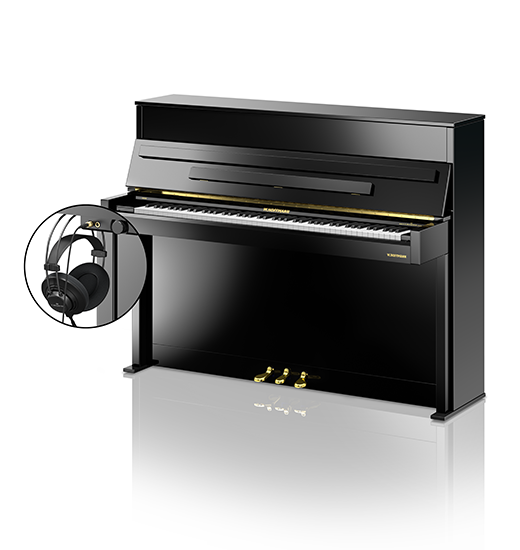 W. Hoffmann Vision V 2 VARIO