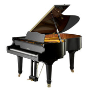 W. Hoffmann Vision V 175