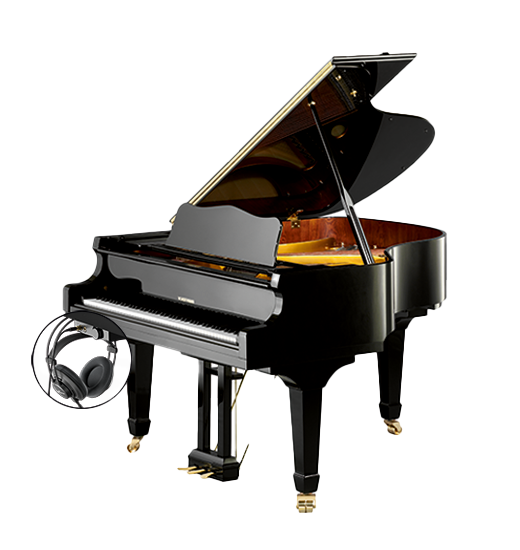 W. Hoffmann Vision V 183 VARIO