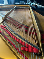 Steinway & Sons Vleugel – Model O – Zwart hoogglans – Volledig Gereviseerd